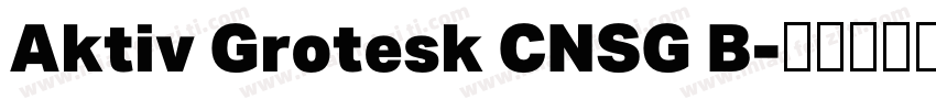 Aktiv Grotesk CNSG B字体转换